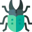 Beetle 图标 64x64