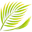 Palm icon 64x64