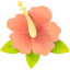 Hibiscus icon 64x64