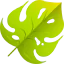 Leaf icon 64x64