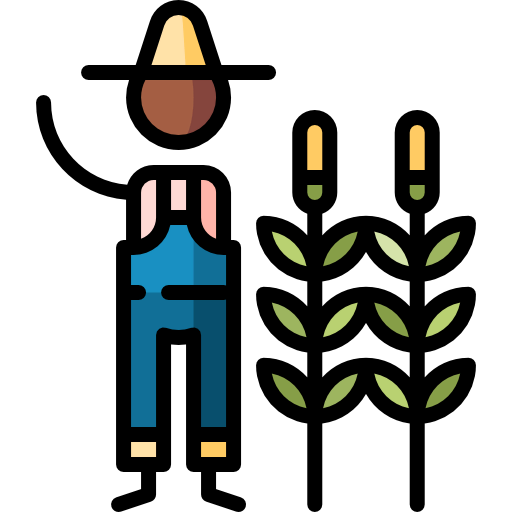 Corn icon