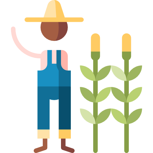 Corn icon