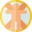 Vitruvian man icon 64x64