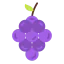 Grape icon 64x64