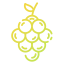 Grape icon 64x64