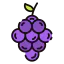 Grape icon 64x64