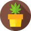Marijuana icône 64x64