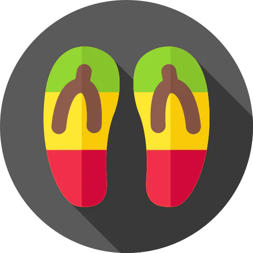 Flip flops icon