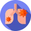 Lungs icon 64x64