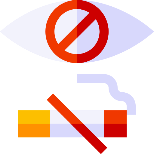 Vision icon