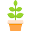 Plant icon 64x64