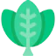 Fern 图标 64x64