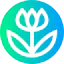 Macro 图标 64x64