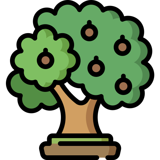 Walnut icon