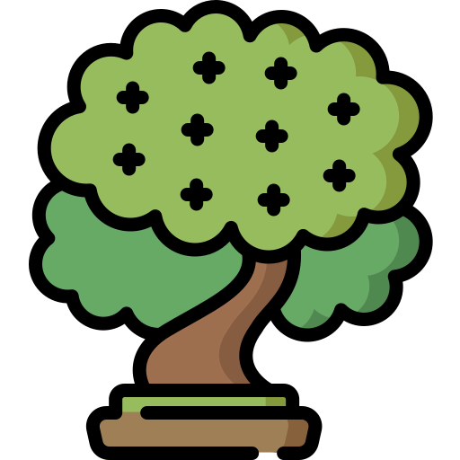 Beech icon