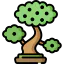 Walnut tree icon 64x64