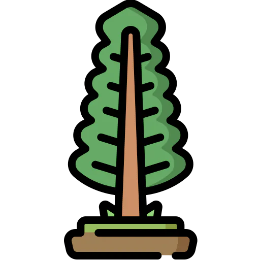 Pine icon