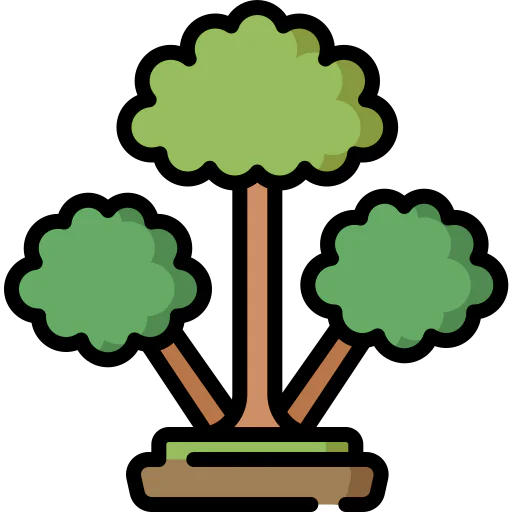 Cinnamon tree icon