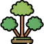 Cinnamon tree icon 64x64