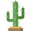 Cactus ícono 64x64
