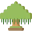 Banyan ícono 64x64
