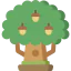 Oak ícono 64x64