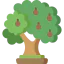 Walnut ícono 64x64