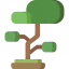 Bonsai ícono 64x64