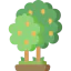 Lemon tree ícono 64x64