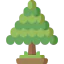 Cedar ícono 64x64