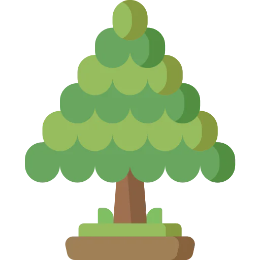 Cedar icon