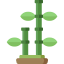 Bamboo ícono 64x64