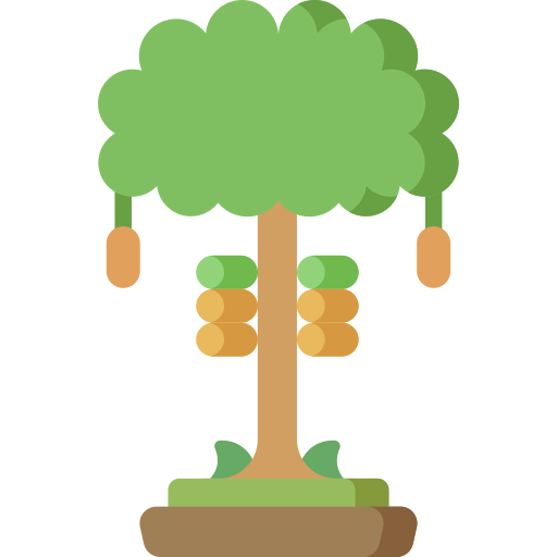 Cocoa tree ícono