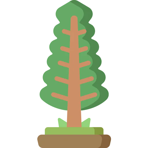 Pine icon