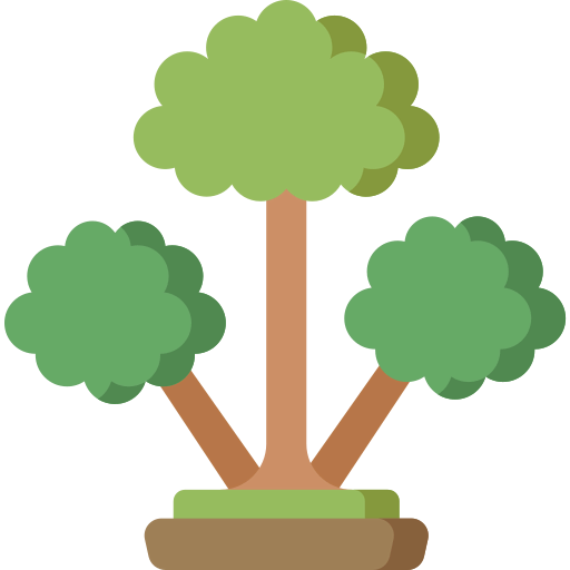 Cinnamon tree icon