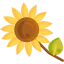 Sunflower icon 64x64