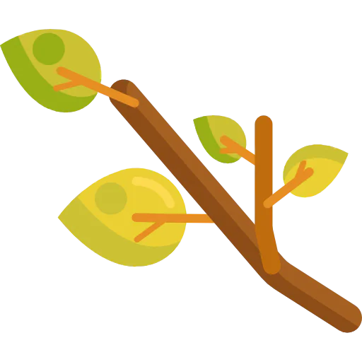 Branch icon