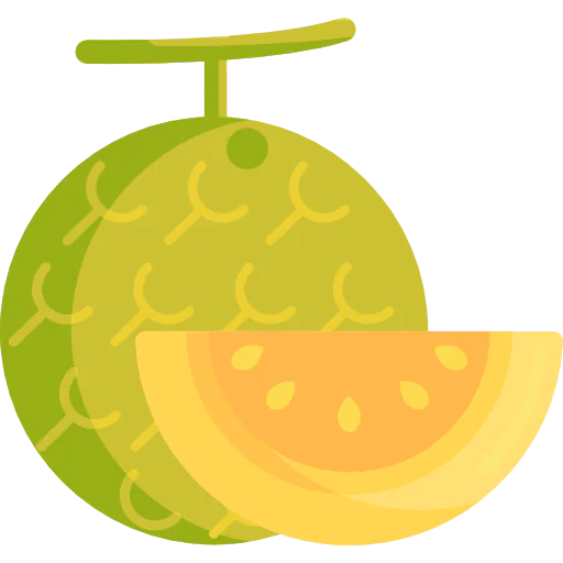 Melon icon