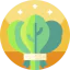Spinach icon 64x64