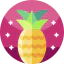 Pineapple 图标 64x64