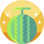 Watermelon icon 64x64