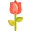 Tulip icon 64x64