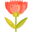 Carnation icon 64x64