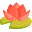 Water lily icon 64x64