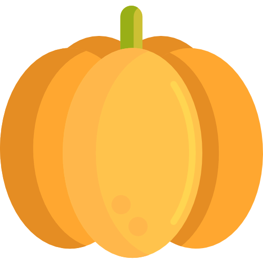 Pumpkin icon