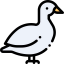 Duck icône 64x64