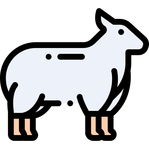 Lamb 상