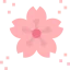 Sakura icon 64x64