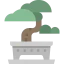 Bonsai icon 64x64