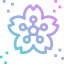 Sakura icon 64x64